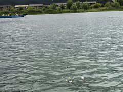 -泸沽湖国家级风景名胜区走婚桥