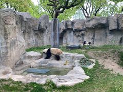 -上海野生动物园
