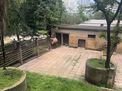 -昆明动物园