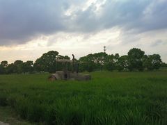-嘉北郊野公园