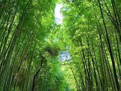 -苏州环秀晓筑养生度假村