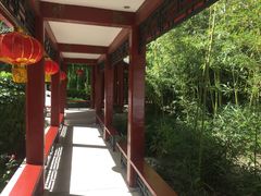 -咖啡CHA自助餐厅(香格里拉饭店)