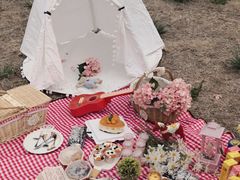 -天津东丽湖风景区