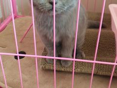 -TPLUS茶家(淮海店)