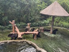 -深圳野生动物园