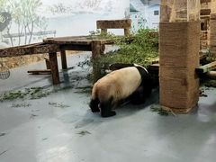 -无锡动物园·太湖欢乐园