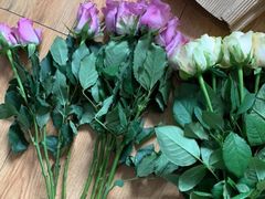 -玲珑汤泉生活会馆(花桥店)