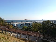 -星海湾跨海大桥
