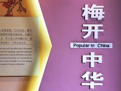 -梅园