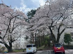 -富士山吉田線五合目