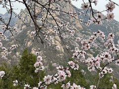 -北京凤凰岭