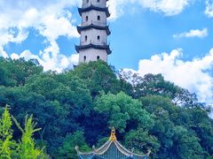 -江心屿景区