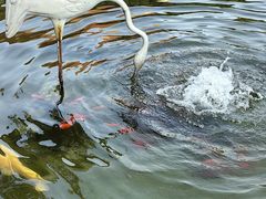 -七宝老街-闵行市民文化广场