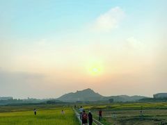 -光明小镇欢乐田园