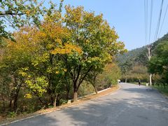 -金龙寺国家森林公园