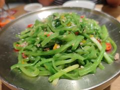 -聚鑫朋酸菜肥肠(文艺路口店)