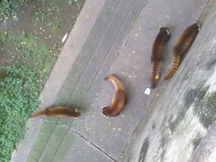 android_upload_pic-昆明动物园