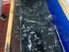 -活鱼馆(宜兴埠店)