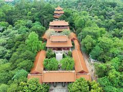 -三水森林公园