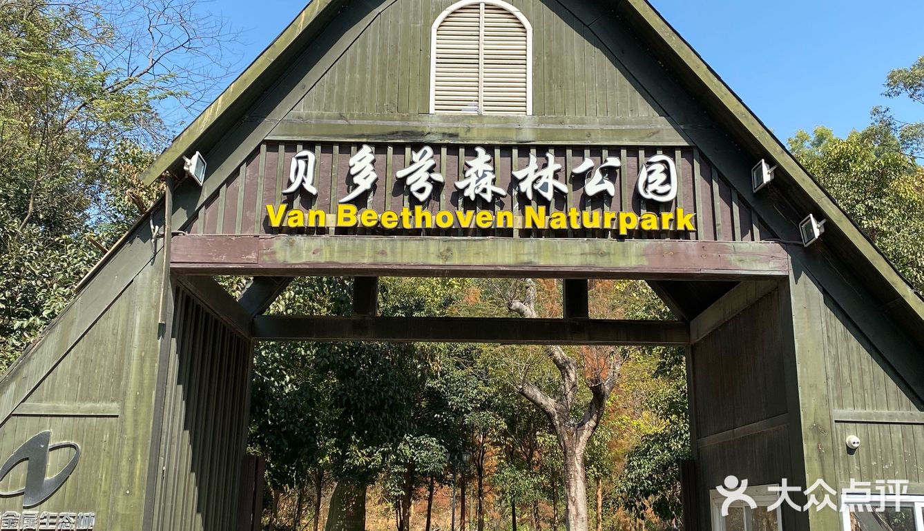 贝多芬森林公园94