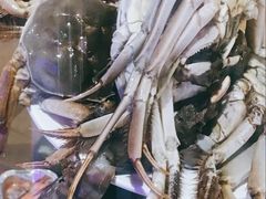 -蒙肥羊·酸汤潮牛·鲜牛肉火锅烤肉自助(岗顶店)