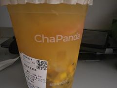 -华北理工大学(曹妃甸校区)