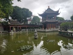 -碧江金楼