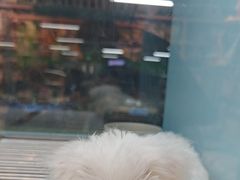 -FAELING PETS美天灵宠物(合生汇店)