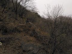 -香山公园