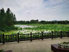 -云龙湖旅游景区