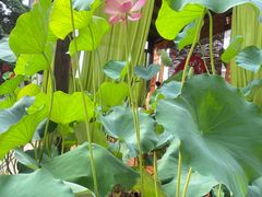 -聚福宝合苑食府(南头镇店)