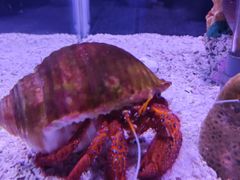 -太平洋海底世界