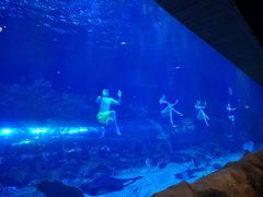 -华夏文旅海洋公园