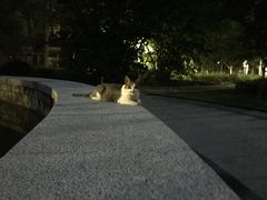 -上海科学技术职业学院