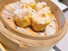 -新兴·金羊座·粤菜点心(乐峰店)