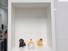 -美联众合爱康动物医院•复杂内科•肿瘤科•牙科•腔镜诊疗中心