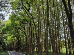 -采石矶景区