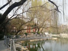 -莲湖公园
