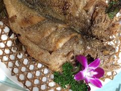 -城北食府(枫林店)