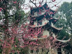 -成都杜甫草堂博物馆