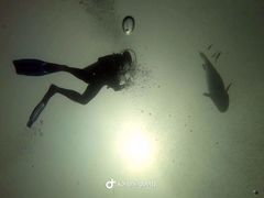 -卡帕莱度假村(西巴丹岛)