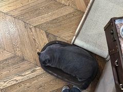 -Me Coffee下午茶艺术空间