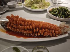-刘胖子家常菜·蹄花焖藕(中央花园店)