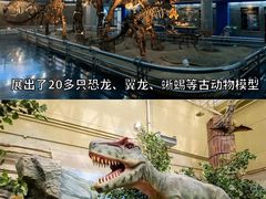 -国家自然博物馆