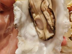 -杨氏青龙虾·羊蝎子(托乐嘉店)