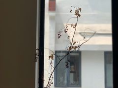 -素咫咖啡CLIFEROSE(新安店)