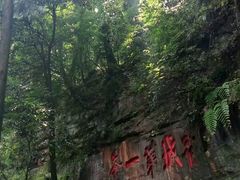 -青城山