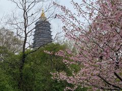 -红梅公园