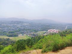 -灵岩山风景区