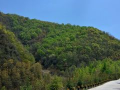 -云顶山风景区
